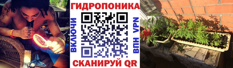 Конопля LSD WEED  блэк спрут ссылки  Белинский 